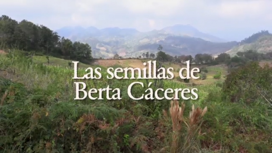 Les llavors de Berta Cáceres